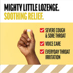 Fisherman's Friend Sugar Free Cough Lozenges, 40 x 6-Pack (Honey Lemon)