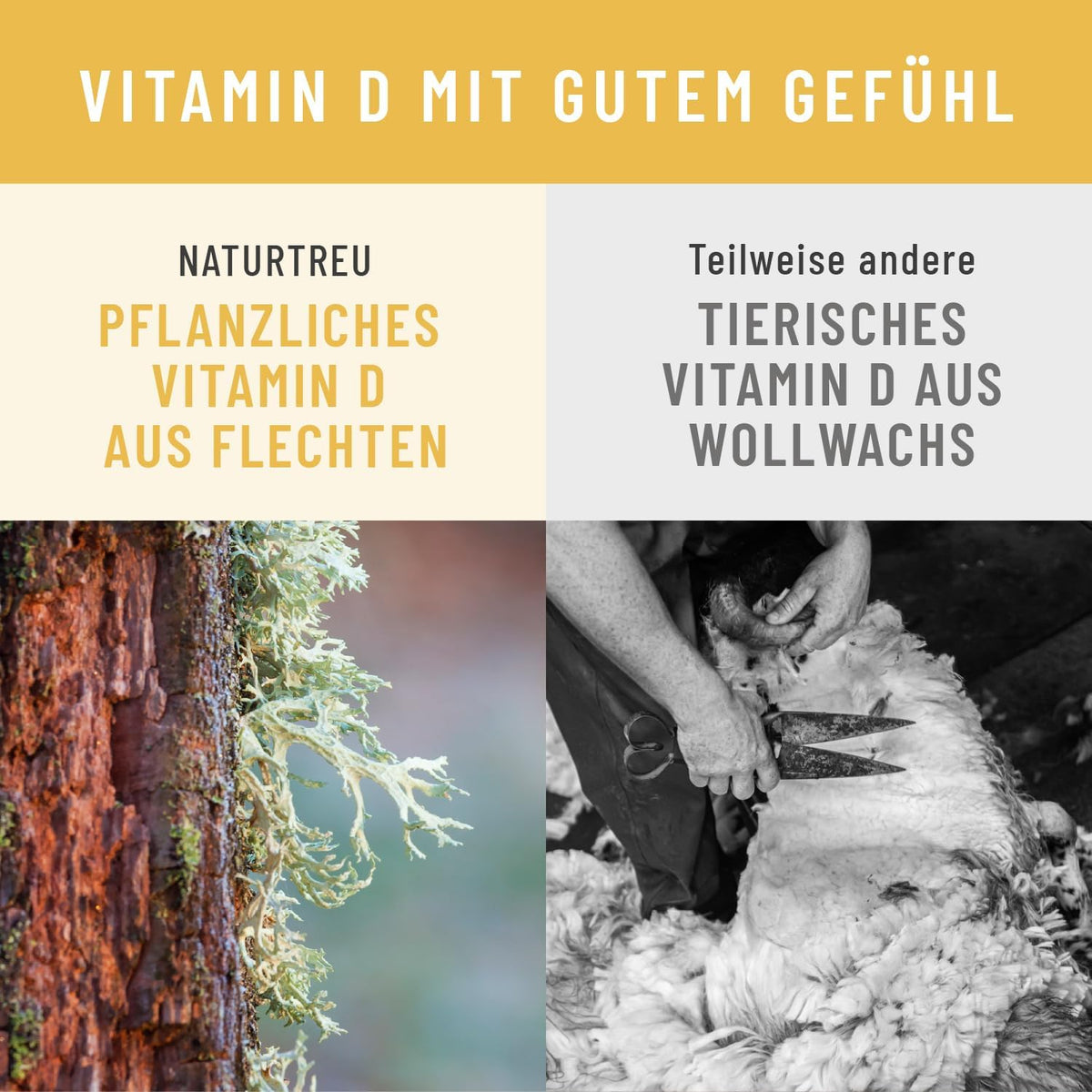 Dietary Supplements