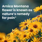 Sanar Naturals Arnica Gel Roll On, Menthol Muscle & Joint Pain Relief, 3 oz | Fast-Acting Cooling Gel, Muscle & Joint Pain Relief, Arnica Montana, Menthol & Camphor, Non-Greasy Roll-On, 3 oz