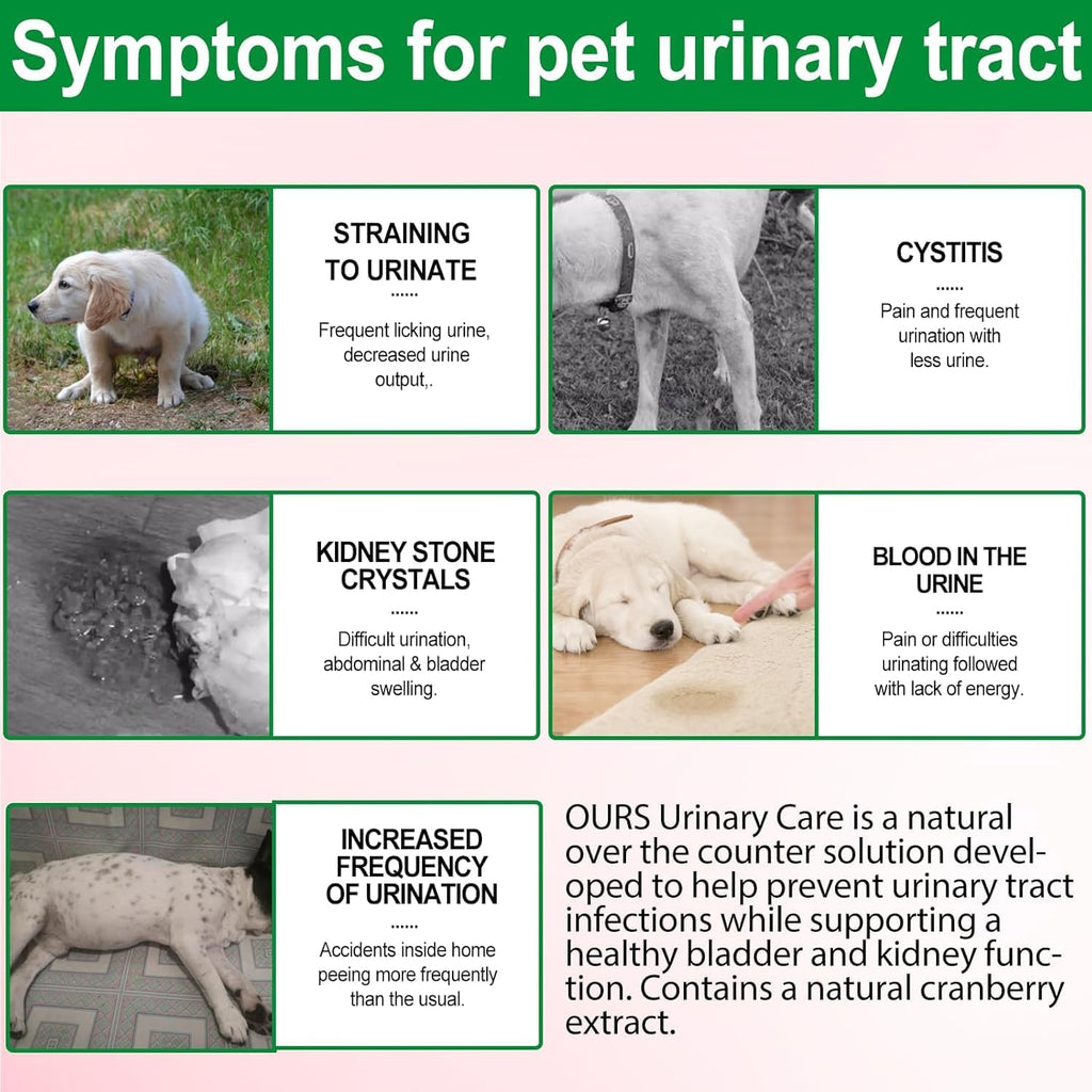NP- Dog UTI Treatment Drops – Natural Cranberry Supplement for Bladder & Kidney Health – Urinary Tract Infection Support for All Breeds – Liquid Herbal Formula for Dogs