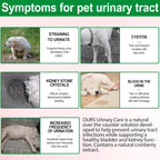 NP- Dog UTI Treatment Drops – Natural Cranberry Supplement for Bladder & Kidney Health – Urinary Tract Infection Support for All Breeds – Liquid Herbal Formula for Dogs