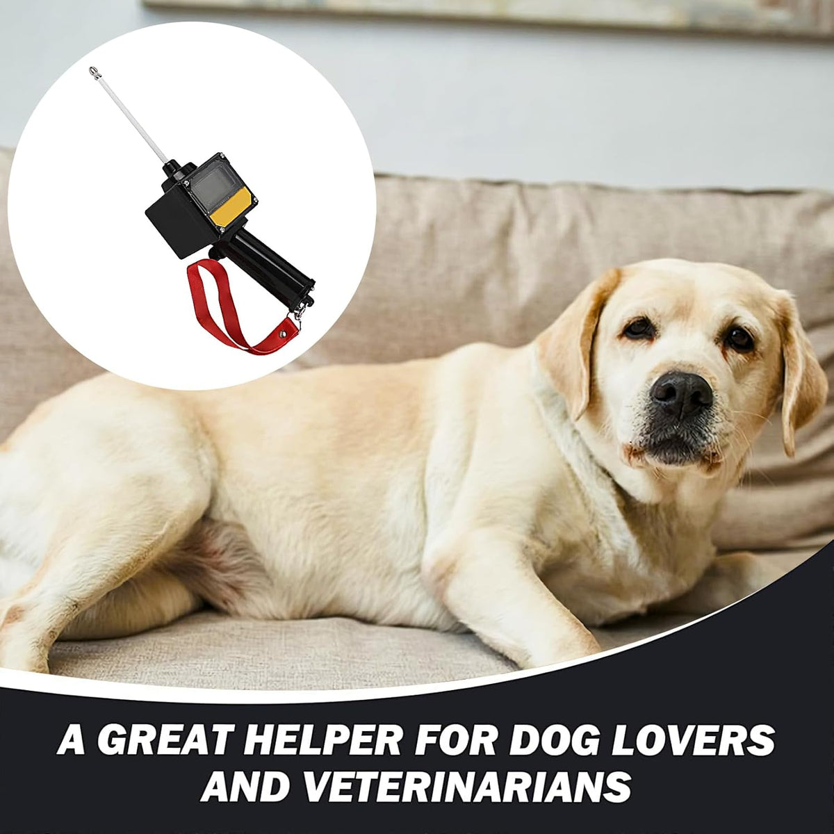 Canine Pregnancy Test – High Performance Sleek for Home Use Device, Ergonomic, Detection with Magnetic Probe, 5 cm, Waterproof Detector | Multipurpose Outdoor Indoor Utility