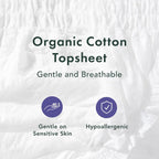 Rael Disposable Period Underwear, Organic Cotton Cover (Size S-M, 20 Ct) | Leak Locker, Unscented, Extended Coverage for Women, Period Essentials, Postpartum Essentials, Feminine Care