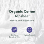Rael Disposable Underwear for Women, Organic Cotton Cover - Postpartum Essentials, Leak Locker, Unscented, Maximum Coverage (Size S-M, 20 Count)