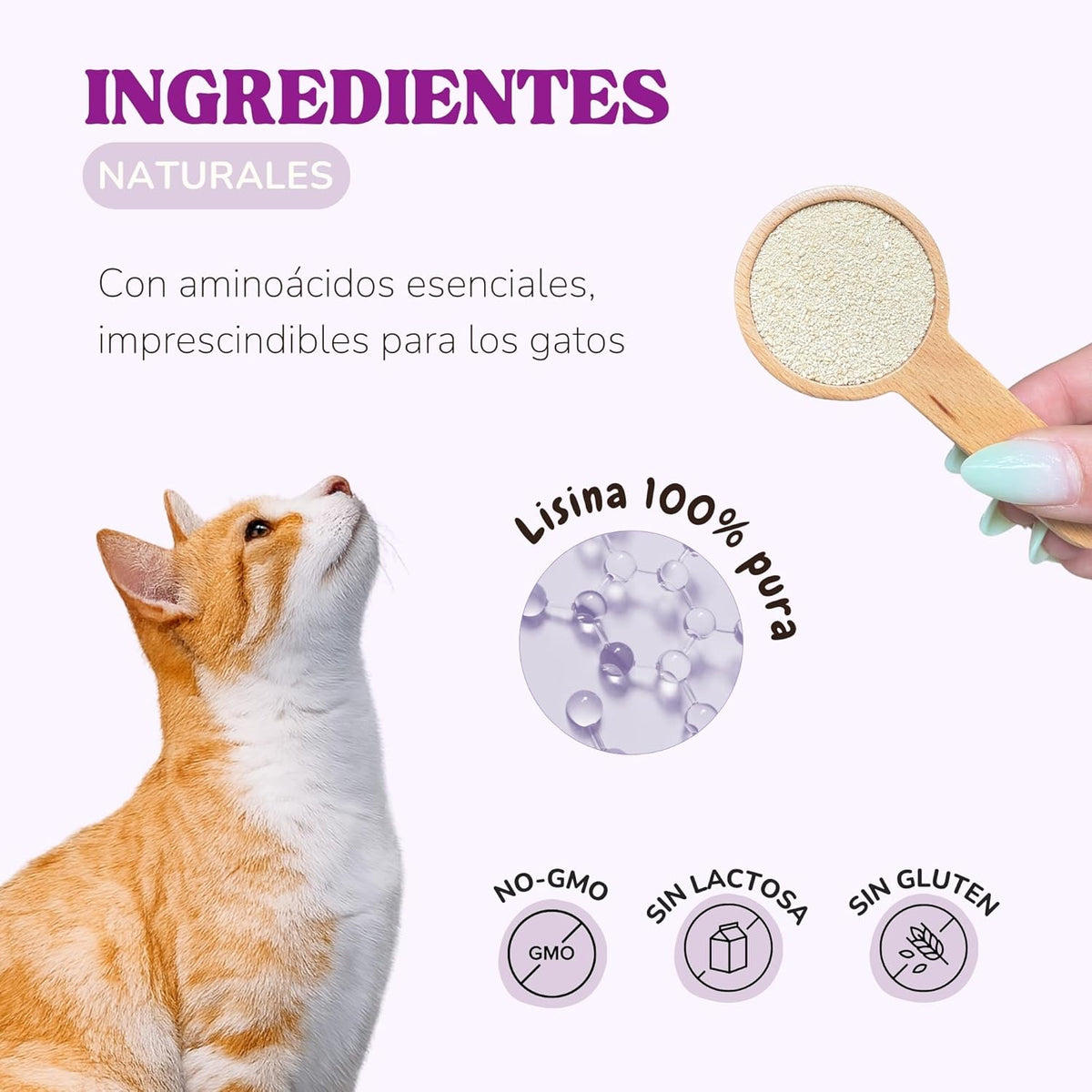 Lysine Cats with Essential Amino Acids to Support Immune System, Support Airways and Prevent Feline Herpes, Natural Supplement for All Breeds and Ages