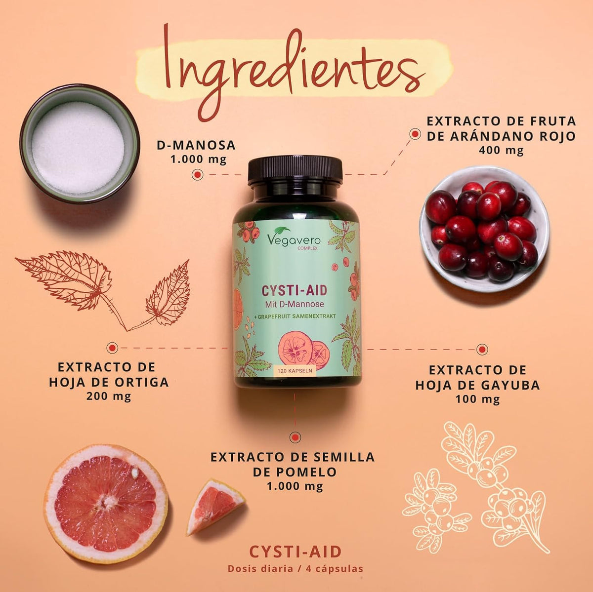 Cystitis Relief Vegavero® | 100% Natural UTI Support | NO Additives, Lab-Tested | with D-Mannose, Grapefruit Seed, Cranberry, Stinging Nettle, and Bearberry Extracts | 120 Capsules | Vegan