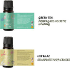 Folkulture Essential Oils Set | 6 Relaxing Fragrance Oils for Diffusers | Green Tea, Cashmere, Ocean Salt and More| Aromatherapy Gift Set for Her, Him | Self-Care Lovers | Self Love Club