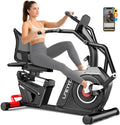 Recumbent Exercise Bike for Home, Stationary Bike with Arm Exerciser