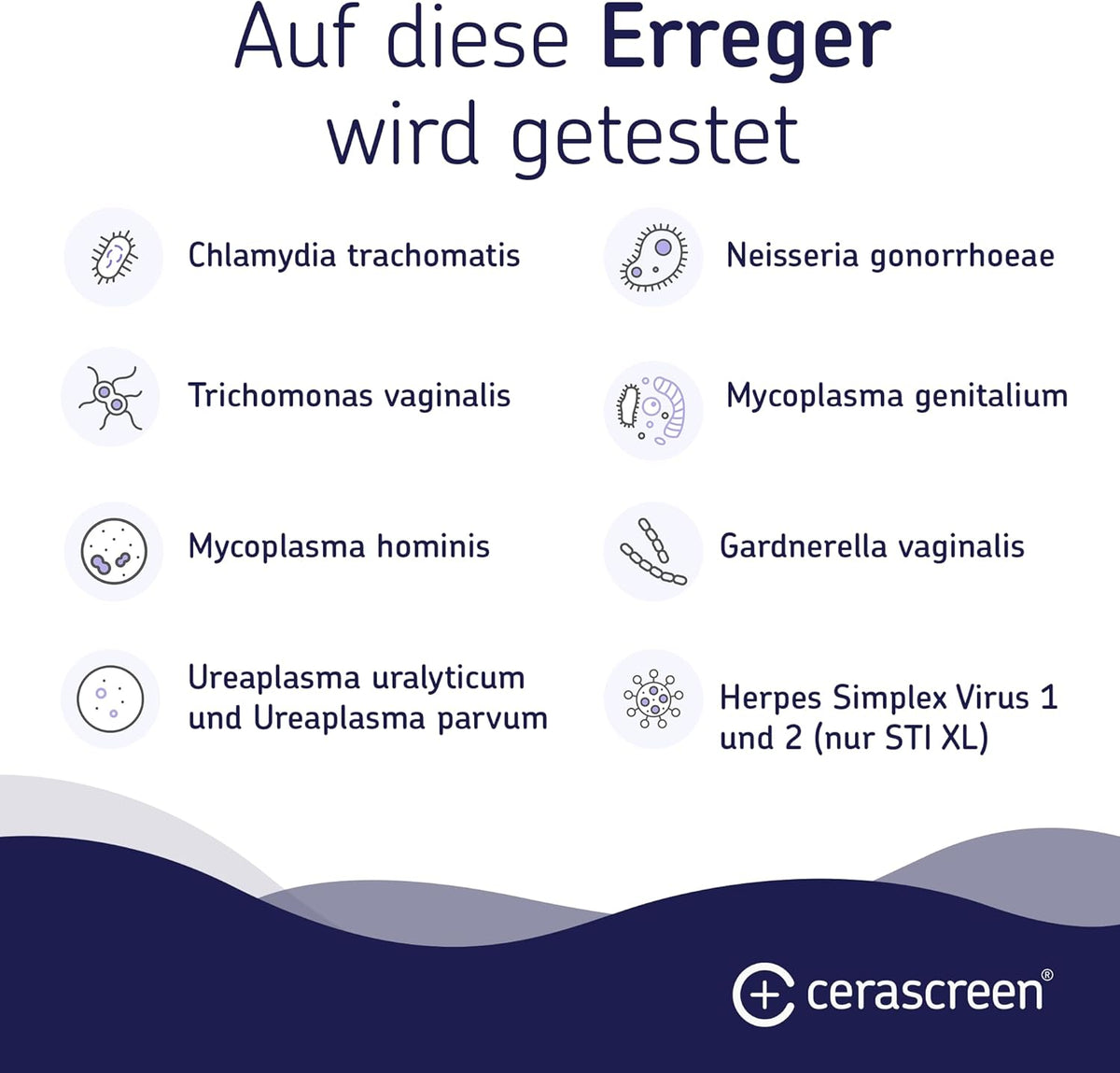 CERASCREEN Health Test Kits