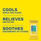 Preparation H Hemorrhoid Flushable Wipes with Witch Hazel for Skin Irritation Relief - 48 Count (Pack of 4)