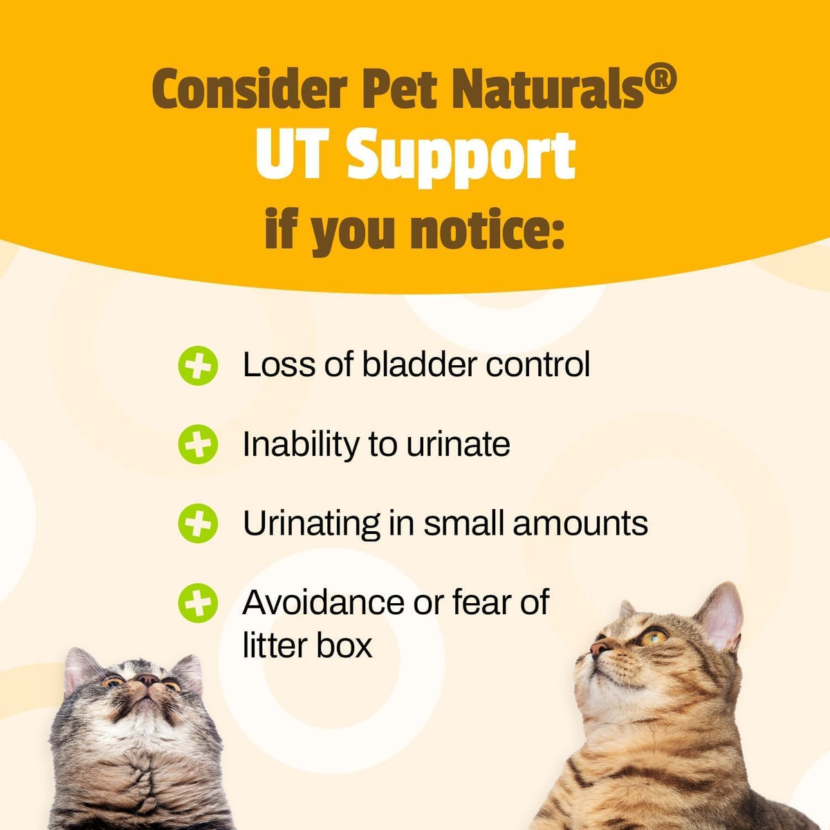 Naturals of Vermont - UT Support for Cats Dietary Supplements 60 pieces
