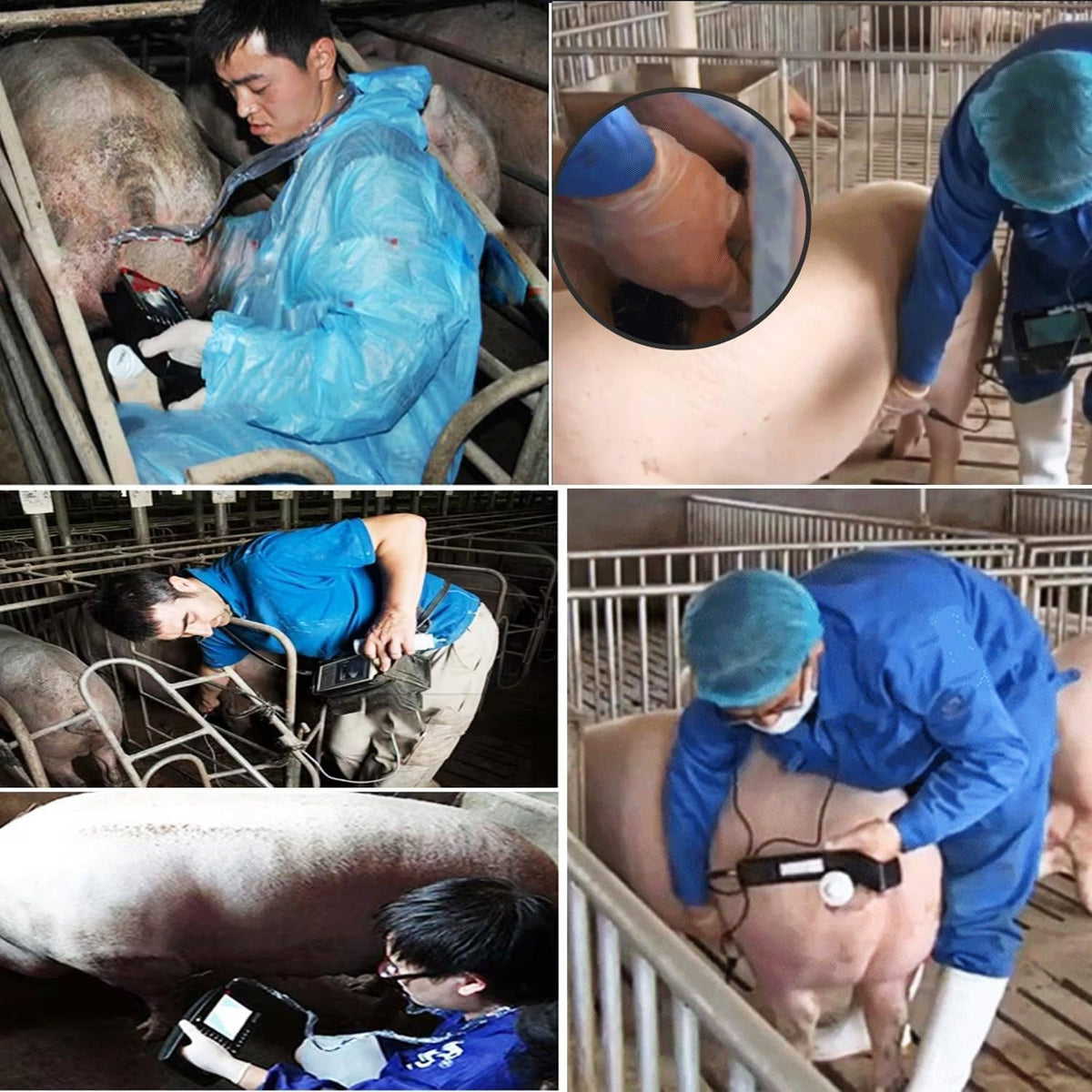 Kit Scanner Veterinario Ad Ultrasuoni,Macchina Portatile HD per Test I Gravidanza,con 3,5 MHz Sonda Meccanica per Suini E Pecore,Ideale per Test Gravidanza Su Animali