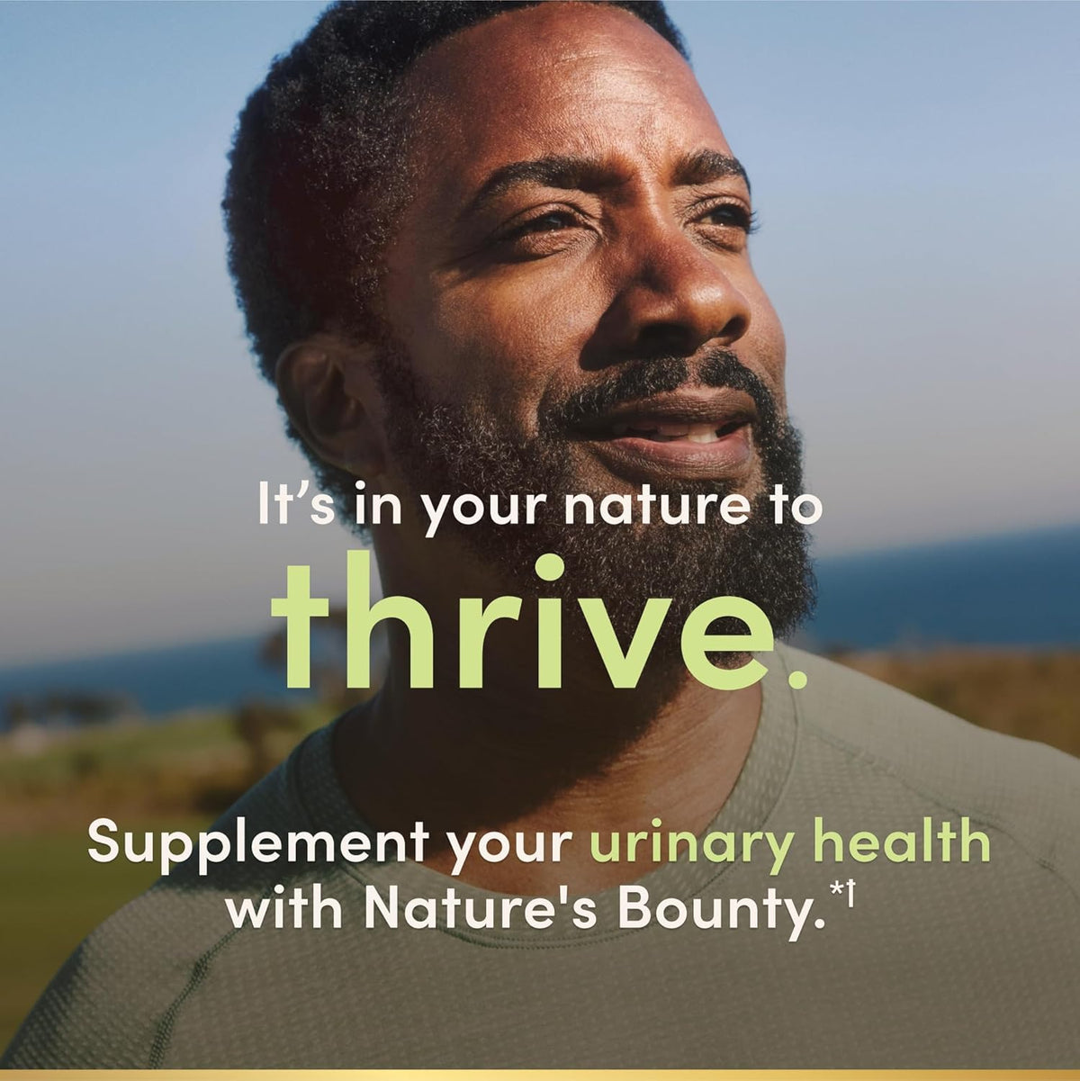 s Bounty Saw Palmetto Dietary Supplements 250 capsules
