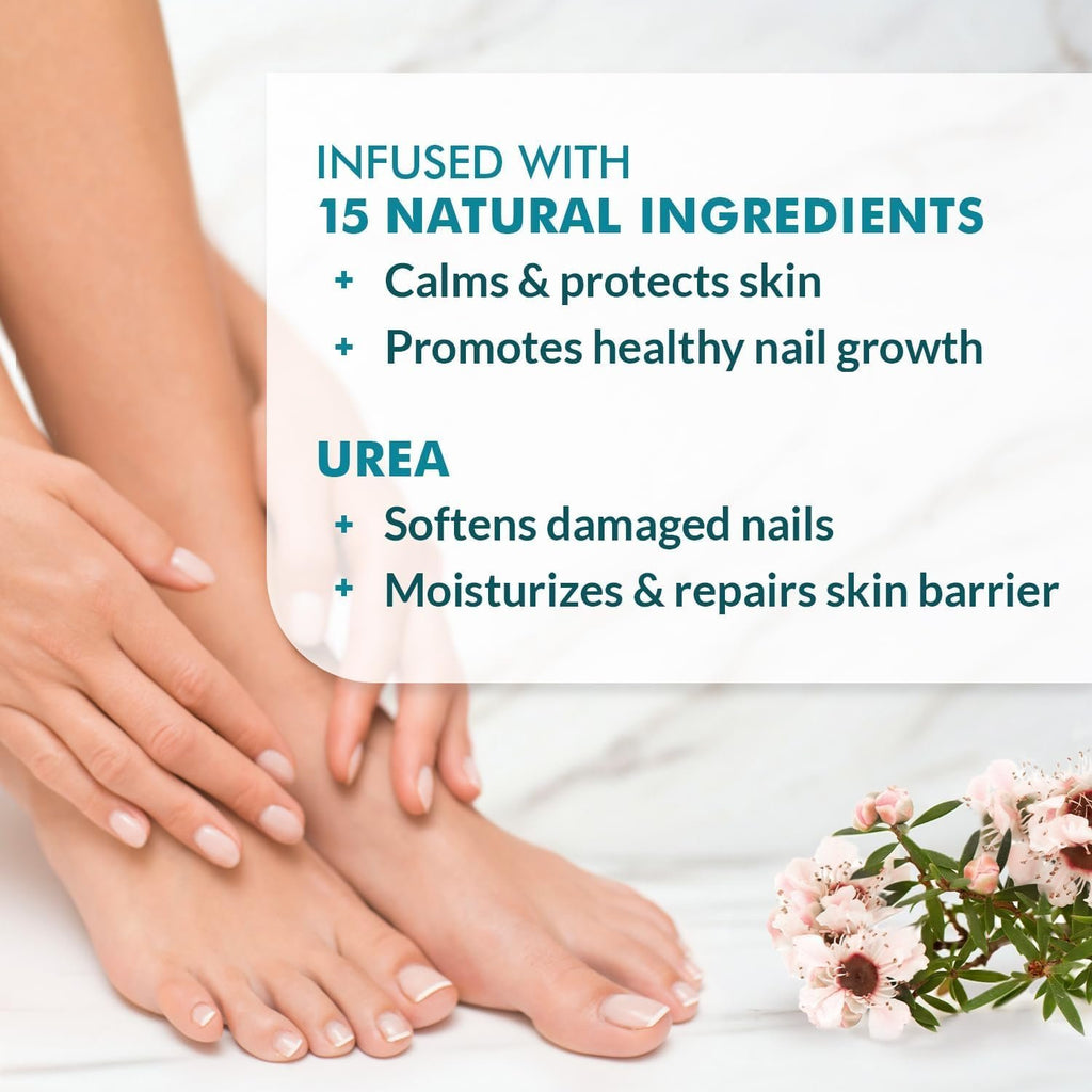 Ebanel Athlete's Foot Fungus Treatment, Miconazole Antifungal Cream 2Oz | Cures Jock Itch, Ringworm, Fungal Infections that Lead to Nail Fungus, with Undecylenic Acid, Tea Tree Oil, and Manuka Oil