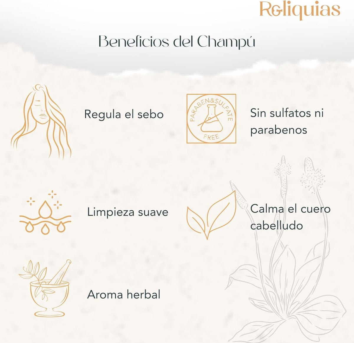 Reliquias Natural Shampoo with Burdock, Sage, Nettle and Aloe Vera | Oily Hair | Gentle and Revitalizing Cleansing | Sulfate and Paraben Free | 200 ml