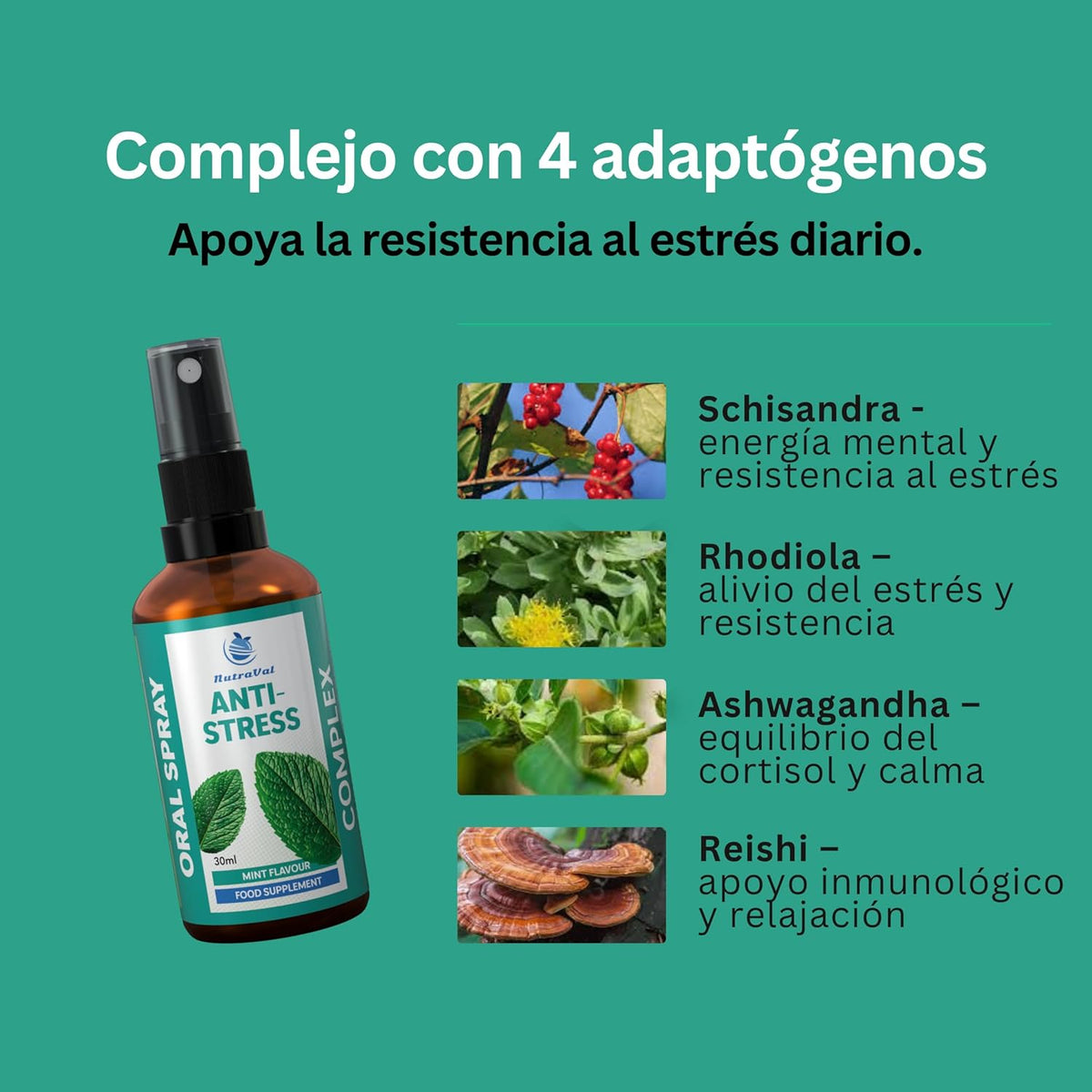 Anti-Stress Oral Spray with Ashwagandha, Rhodiola Rosea, Reishi and Schisandra China – Food Supplement with Adaptogens, with MCT Oil, Mint Flavor, 30 ml
