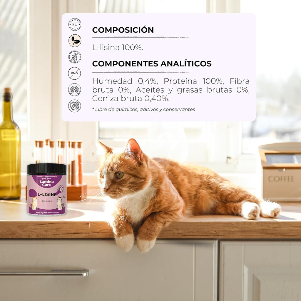 Lysine Cats with Essential Amino Acids to Support Immune System, Support Airways and Prevent Feline Herpes, Natural Supplement for All Breeds and Ages