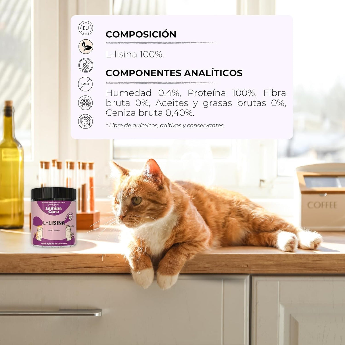Lysine Cats with Essential Amino Acids to Support Immune System, Support Airways and Prevent Feline Herpes, Natural Supplement for All Breeds and Ages
