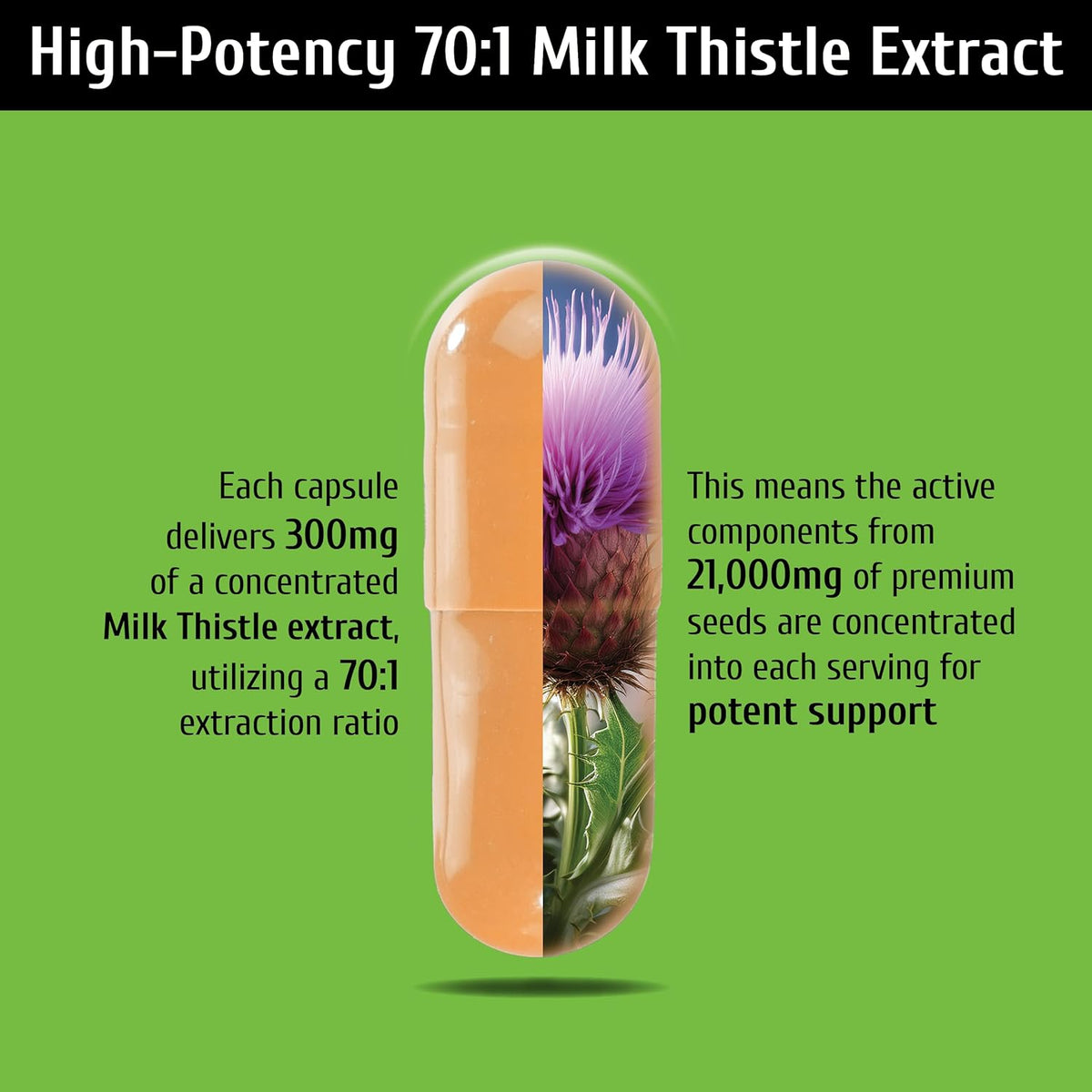 Liver Support, Milk Thistle 300mg (70:1 Extract from 21,000mg Seed), with Dandelion, 85% Silymarin, Artichoke & Frankincense, Once-Daily Capsule 200 Count