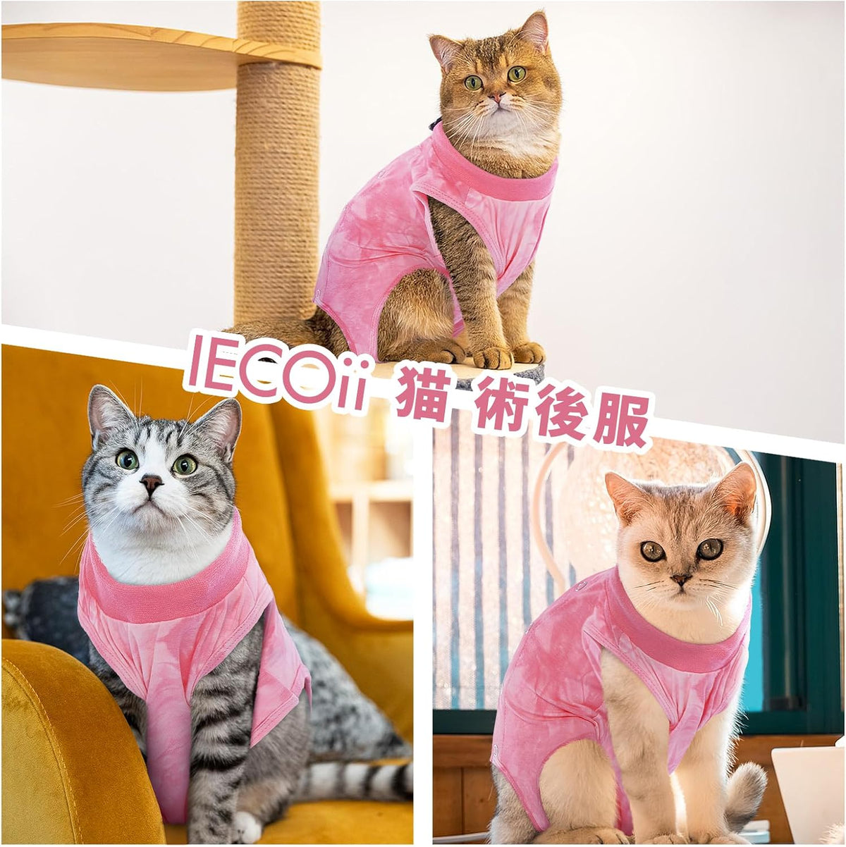 IECOii Pet Supplies