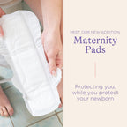 Maternity Pads 12 pieces