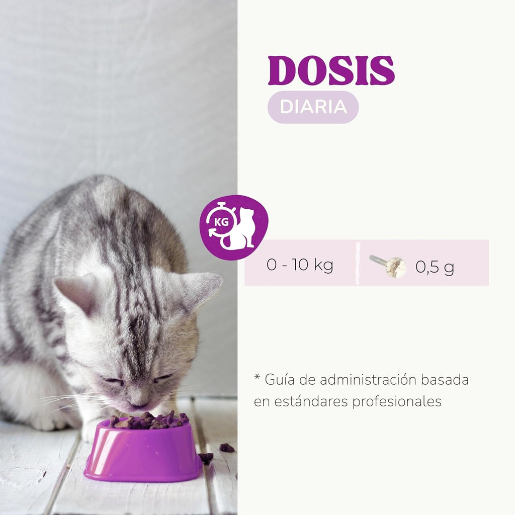 Lysine Cats with Essential Amino Acids to Support Immune System, Support Airways and Prevent Feline Herpes, Natural Supplement for All Breeds and Ages