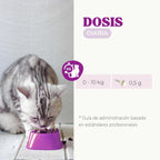 Lysine Cats with Essential Amino Acids to Support Immune System, Support Airways and Prevent Feline Herpes, Natural Supplement for All Breeds and Ages