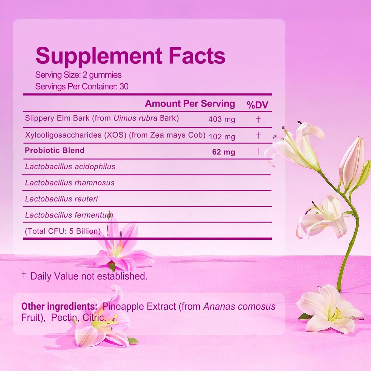 Probiotic Supplements