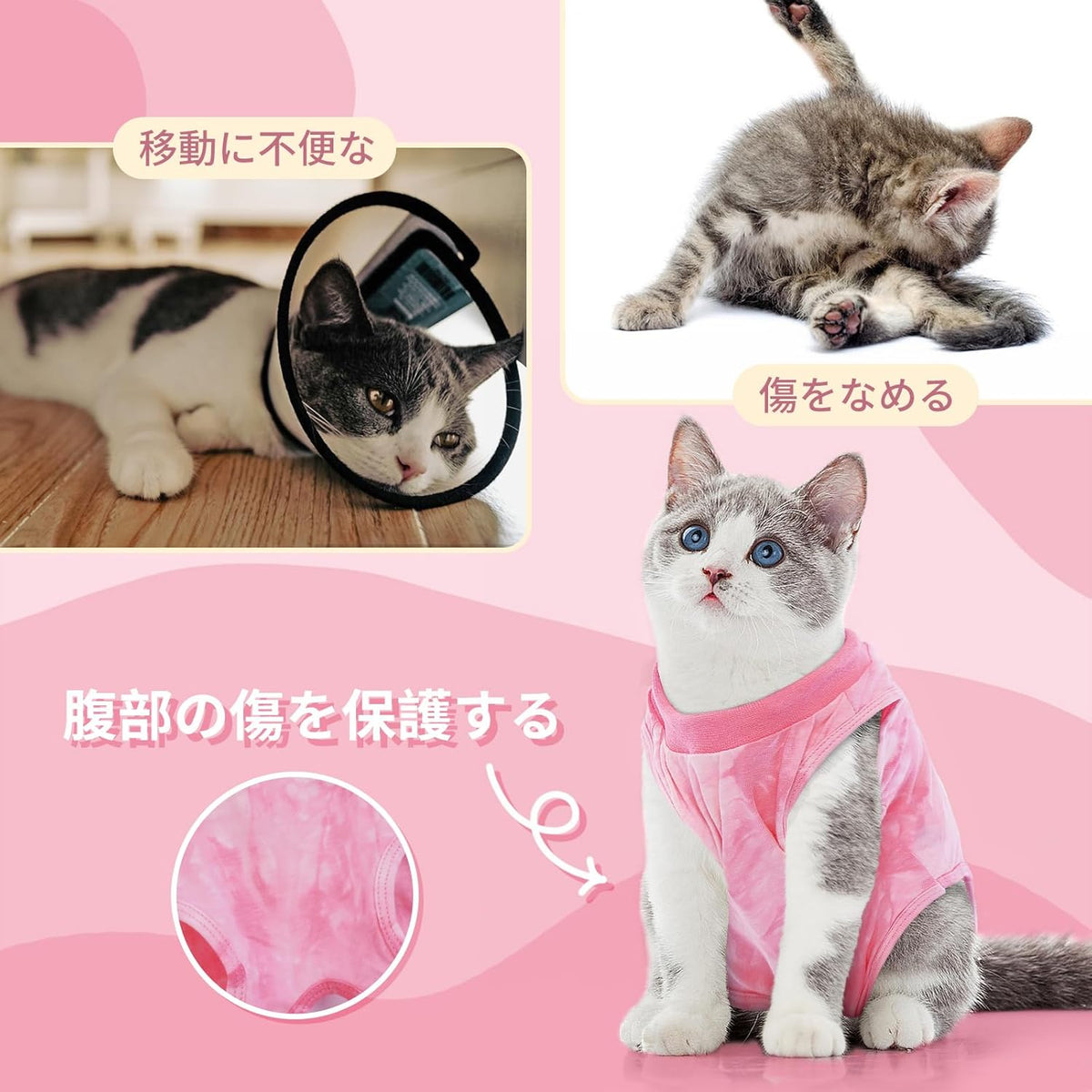 IECOii Pet Supplies