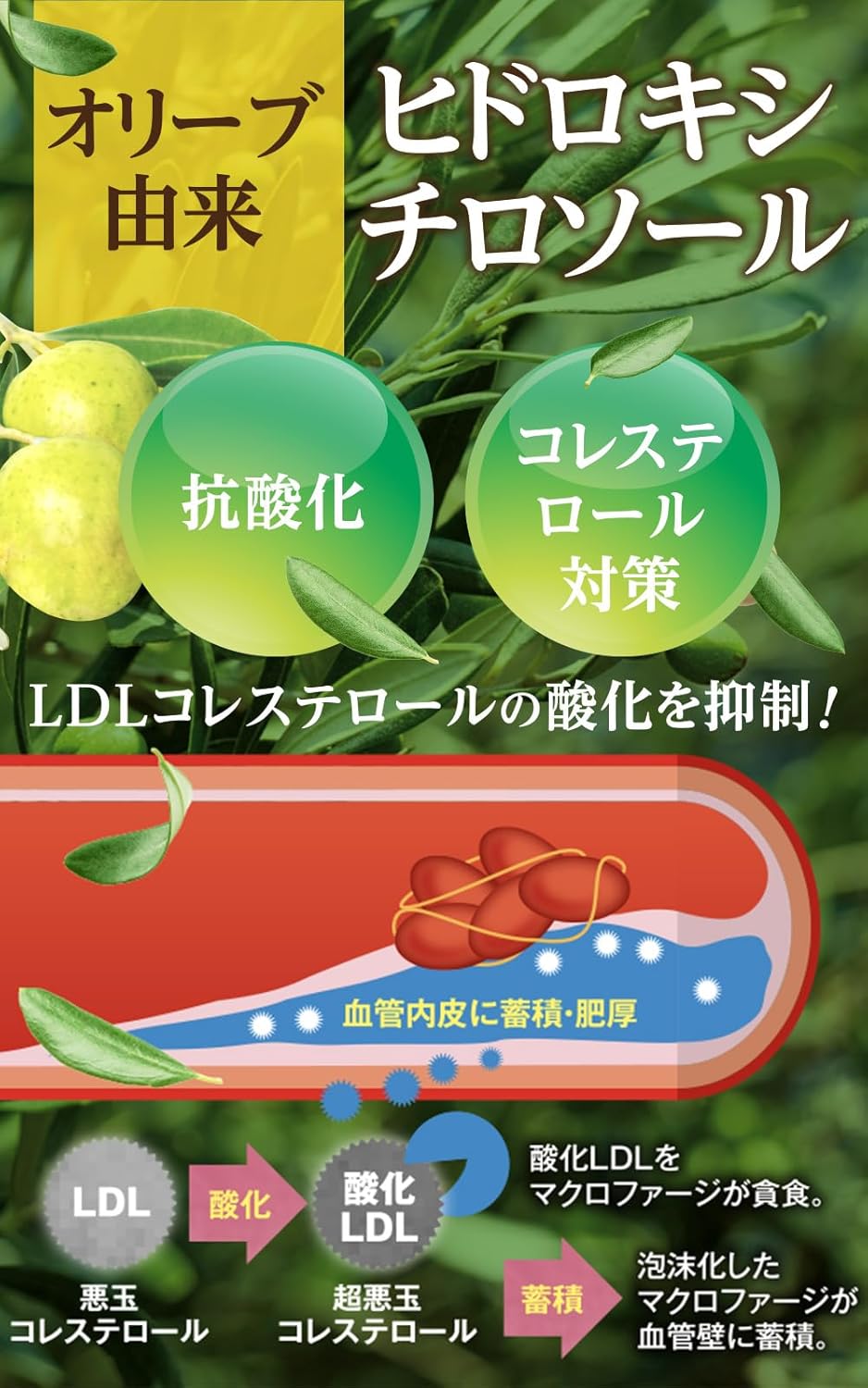 Dietary Supplements 60 capsules