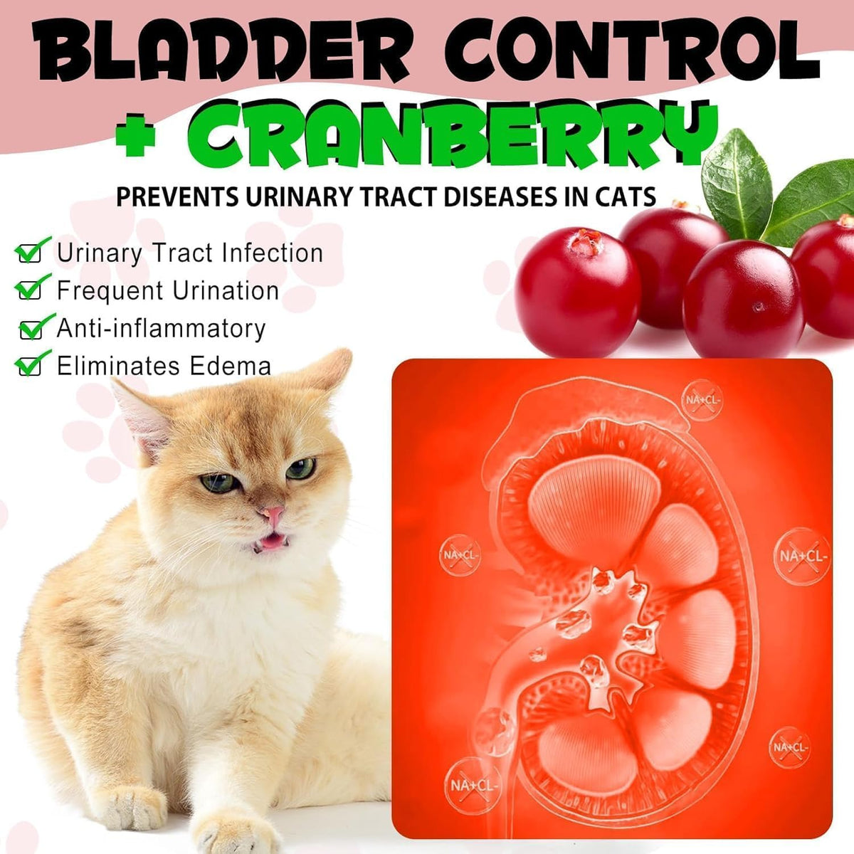 NP- Cat UTI Support Drops – Natural Cranberry Supplement for Bladder & Kidney Health – Urinary Tract Infection Relief for All Breeds – Liquid Herbal Formula for Cats 60mL