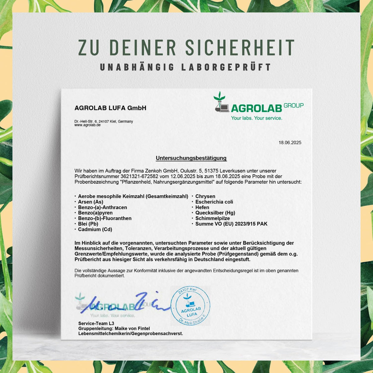 Pflanzenheld Dietary Supplements 120 capsules