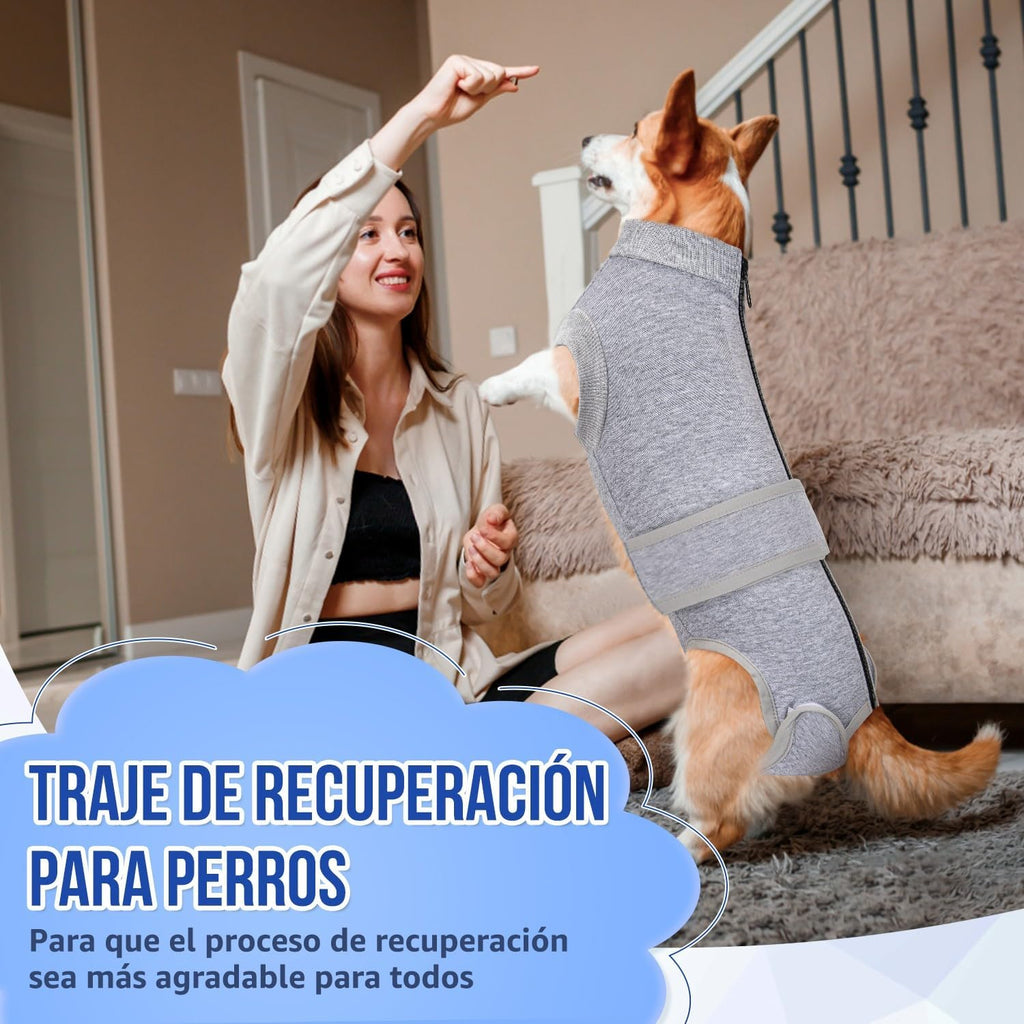SlowTon Dog Surgery Recovery Suit - Alternative Cone Shaped Collar for Dogs After Surgery with Zipper, Professional Pet Recovery Shirt