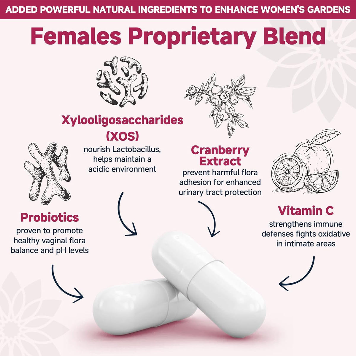 DRFOSTER Vaginal Probiotics for Women pH Balance with Prebiotics & Cranberry - Womens Probiotic Feminine Care Promote Healthy Vaginal Odor & Vaginal Flora, Support Gut Health & UTI - 90 Vegan Capsules