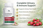 Cranberry Concentrate Extract 500mg with Vitamin C Useful for Bladder Infections & UTI, Urinary Tract Health Support 60 Capsules