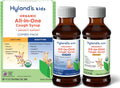 Hyland's Kids Cough Syrup All-in-One Day+Night 2-Pack, Organic (Grape) 8oz