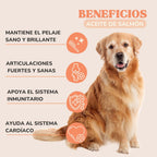 Salmon Oil Dogs and Cats to Strengthen Joints, Skin and Immune System, Salmon Oil Dogs and Cats Naturally Enriched with Omega 3 Dogs, 6, EPA and DHA