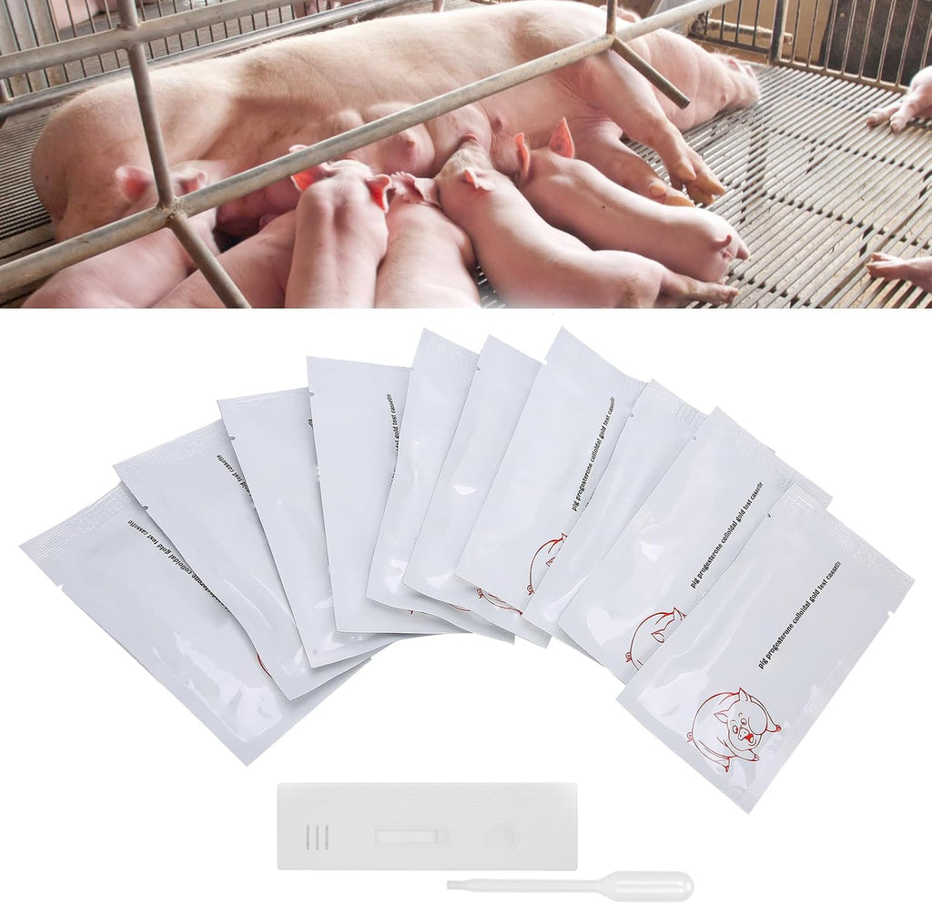 Pregnancy Test Kits