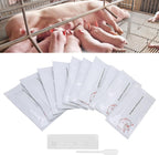 Pregnancy Test Kits