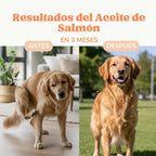 Salmon Oil Dogs and Cats to Strengthen Joints, Skin and Immune System, Salmon Oil Dogs and Cats Naturally Enriched with Omega 3 Dogs, 6, EPA and DHA