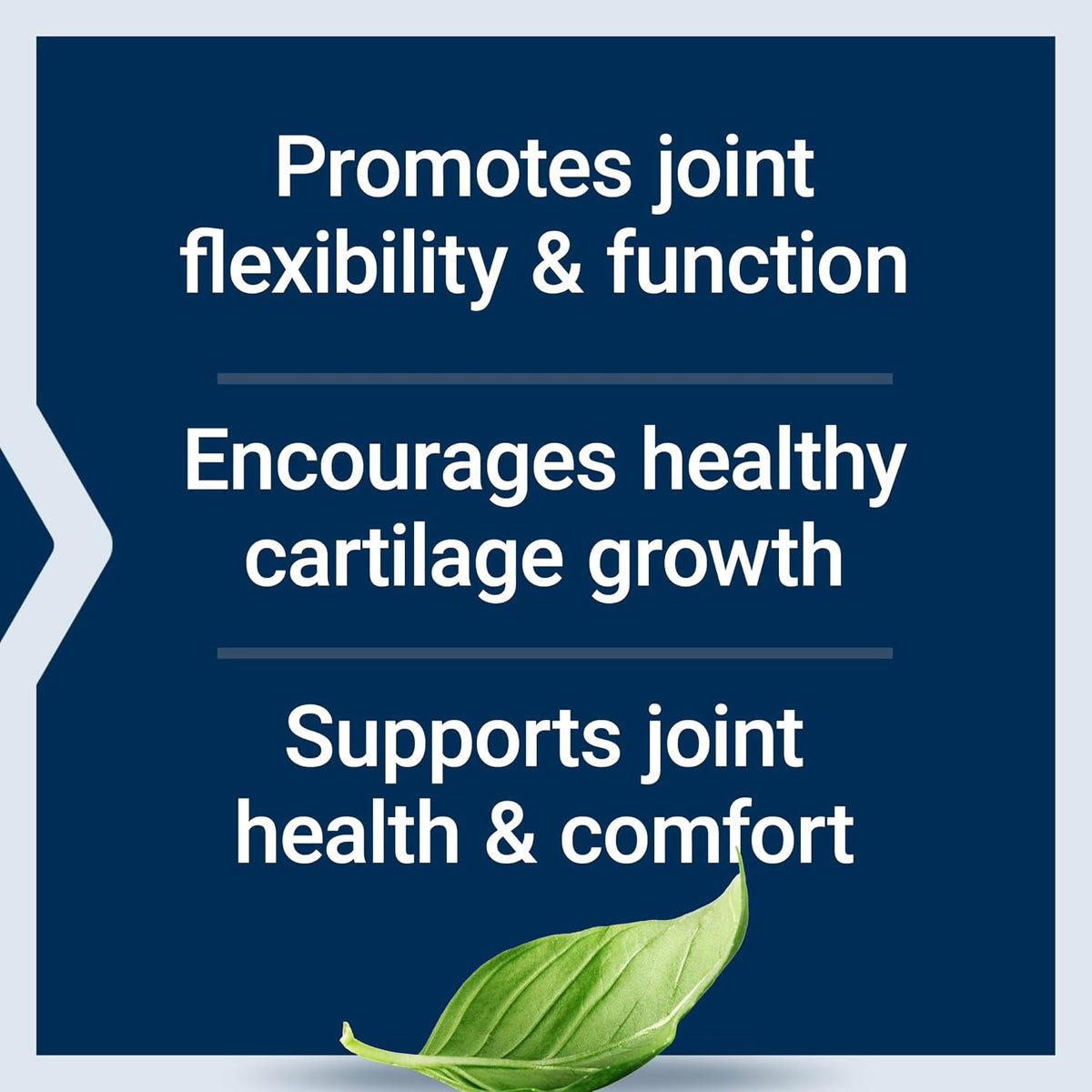 Life Extension NT2 Collagen™, Joint Health Supplement for Joint Comfort & Mobility, Gluten-Free, Non-GMO, 1 Daily, 60 Small Capsules