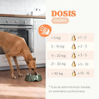 Salmon Oil Dogs and Cats to Strengthen Joints, Skin and Immune System, Salmon Oil Dogs and Cats Naturally Enriched with Omega 3 Dogs, 6, EPA and DHA