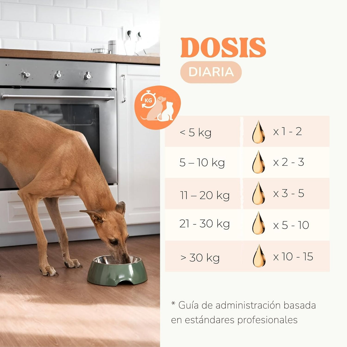 Salmon Oil Dogs and Cats to Strengthen Joints, Skin and Immune System, Salmon Oil Dogs and Cats Naturally Enriched with Omega 3 Dogs, 6, EPA and DHA