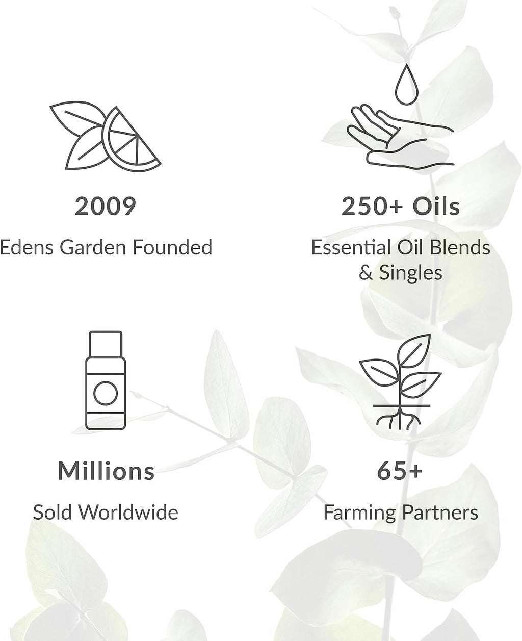 Edens Garden Headache & Migraine Aid Essential Oil Blend- 100% Pure Premium Grade, Undiluted, Natural, Therapeutic, Aromatherapy, The Best for Diffusing, Skin, Humidifiers, Face 10 ml (.33 fl oz)