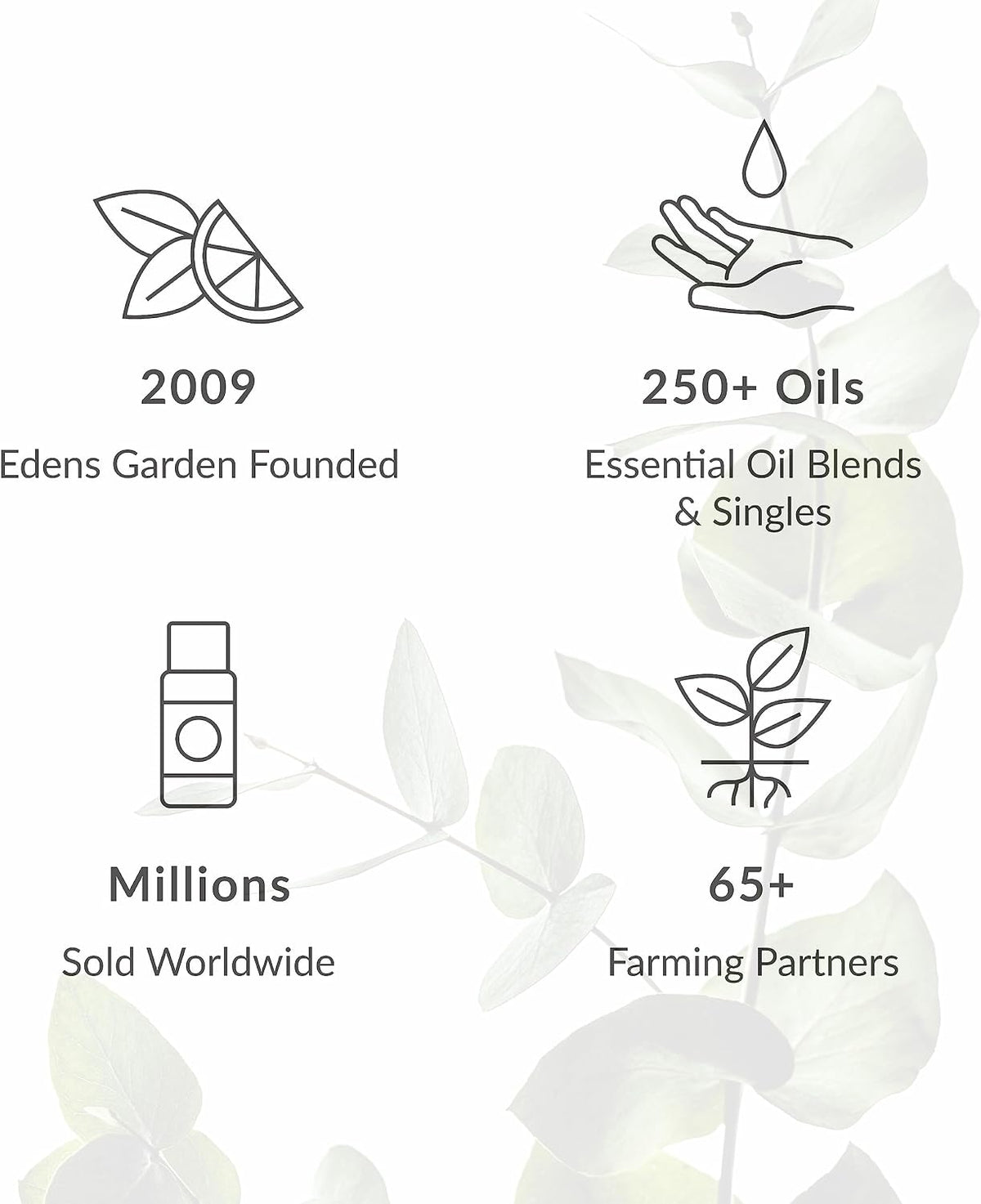 Edens Garden Headache & Migraine Aid Essential Oil Blend- 100% Pure Premium Grade, Undiluted, Natural, Therapeutic, Aromatherapy, The Best for Diffusing, Skin, Humidifiers, Face 10 ml (.33 fl oz)