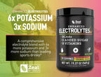 Zeal Naturals Electrolyte Powder - 90 Servings | Keto Electrolytes Powder | Zero Sugar, BCAAs, B-Vitamins | Potassium, Zinc, Magnesium | Hydration Powder Recovery Drink | Passion Fruit Orange Guava