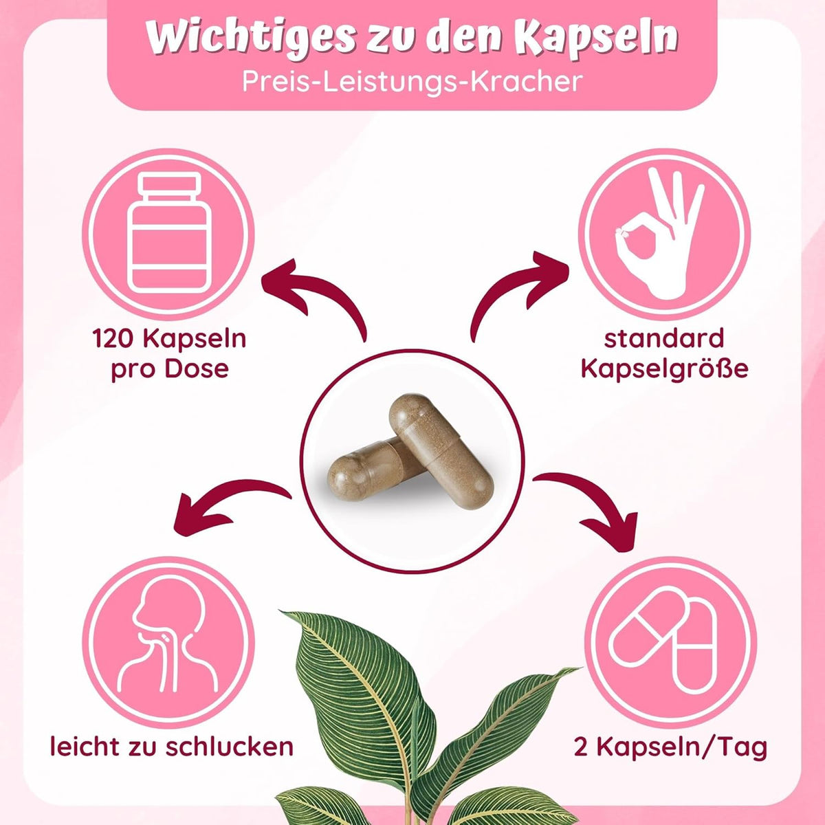 Hormonbalance Dietary Supplements