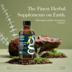 Gaia Herbs Bronchial Wellness Syrup - Respiratory Support Supplement to Help Maintain Lung Health & Help Provide Comfort for Occasional Dry Cough* - 5.4 Fl Oz (Up to 32 Servings)