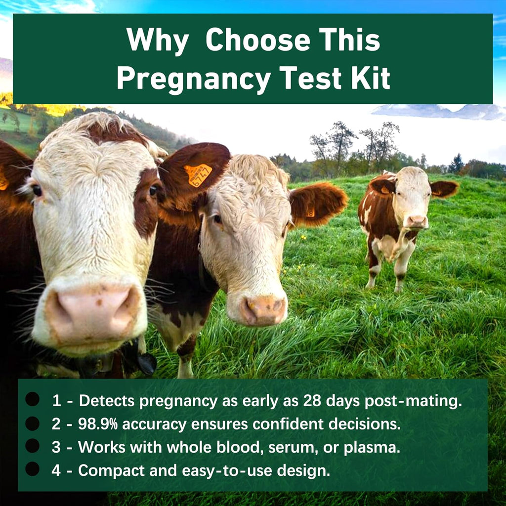 Bovine Pregnancy Test Kit - Includes 2 Tests, Rapid Results in 5-20 Minutes for Dairy & Beef Cows, Whole Blood, Serum & Plasma-Based Tests