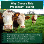 Bovine Pregnancy Test Kit - Includes 2 Tests, Rapid Results in 5-20 Minutes for Dairy & Beef Cows, Whole Blood, Serum & Plasma-Based Tests
